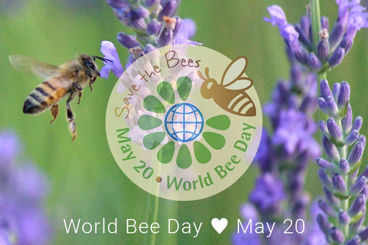 世界ミツバチの日 エンジェルファーム
